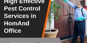 Bed Bug Pest Control