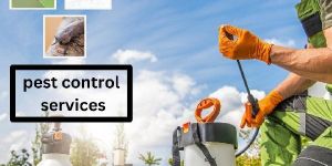 Best Pest Control Service