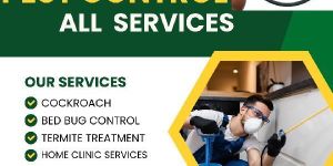 Rodent Pest Control Service