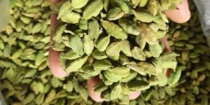 6mm to 7mm Green Cardamom