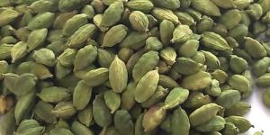 7mm Green Cardamom
