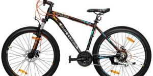 91 SNOW LEOPARD 27.5T