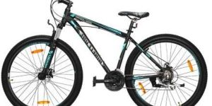 91 SNOW LEOPPARD 29T