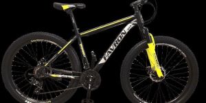 Famous DX 3.0 27.5 Hi -Ten Steel 21 speed