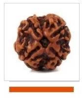 4 Mukhi Rudraksha