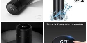 Temperature Water Bottle