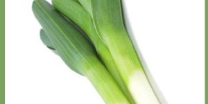Classy Leek Vegetable