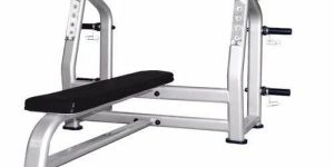 Gym Weight Lifting Bench