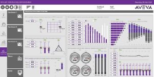 Software Application Services