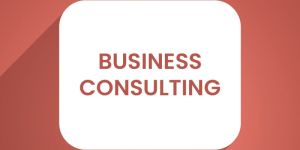 Business Consultants