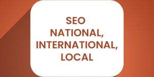 Search Engine Optimization Services