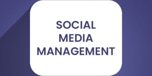 Social Media Management