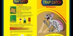 Mouse Trap Glue Board