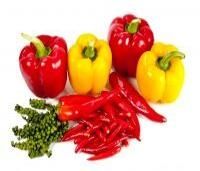 Natural Food Colours and Flavours