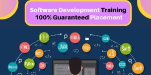 Software Training Services