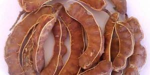 Brown Colour Dried Tamarind