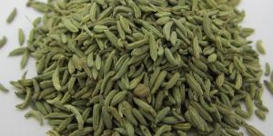 Indian Fennel Seeds