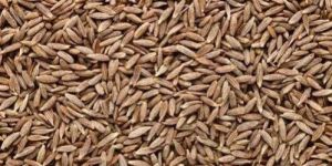 Natural Cumin Seeds
