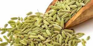 Organic Fennel Seed