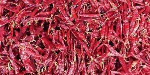 Red Whole Dry Chilli