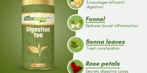 Freshville Digestion Green Tea