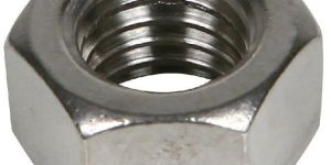 Stainless Steel Hex Nut