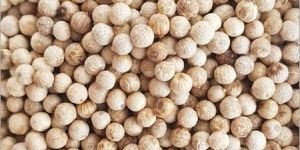 White Pepper Seeds