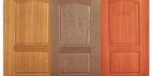 Veneer HDF Moulded Doors