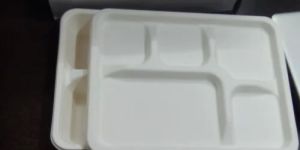 Disposable Meal Tray