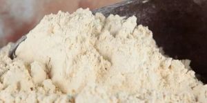 Toasted Defatted Soya Flour