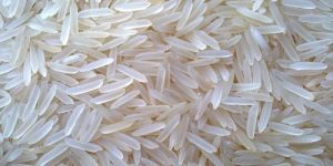 521 Basmati Rice