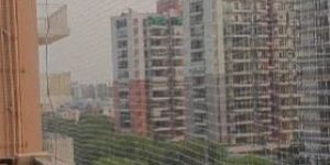 Transparent Bird Net