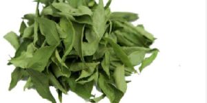 Vacuum Dehydrated Curry Leaves