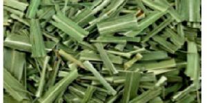 Vacuum Dehydrated Lemongrass