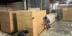 Mr Grade Plywood