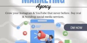 Social Media Marketing Agency