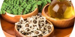 Murungai Seed and Oil