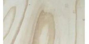 Pine Plywood Sheet