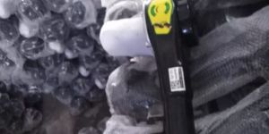 e-rickshaw differential