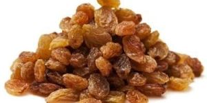 Malayar Raisins