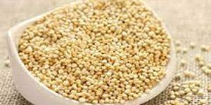 Quinoa Seeds