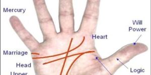 Palm Reading Service