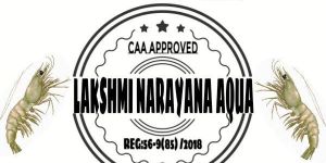 Vannamei Shrimp Seeds