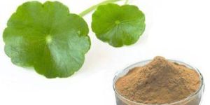 Centella Asiatica Leaves Powder