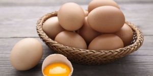 Kadaknath Chicken Egg