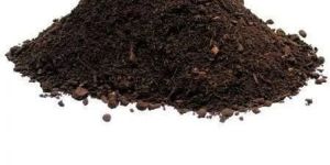 Vermicompost