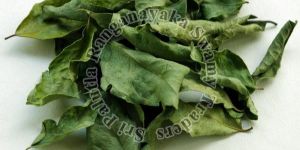 Dried Curry Leaves