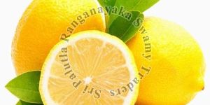 Fresh Seedless Lemon