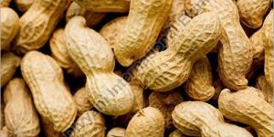 Shelled Groundnuts