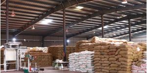 Cement Plant Fabrication